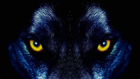 Cool Black Wolf Wallpapers 4k Free Download