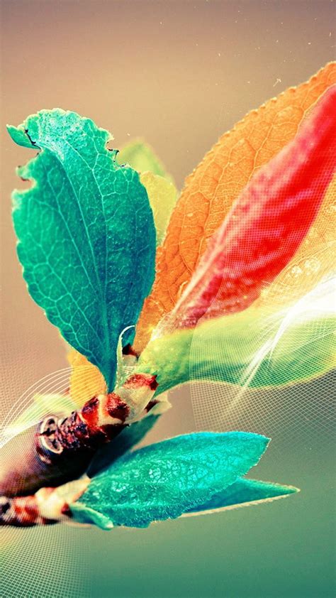 Beautiful Colorful Bud Leaf Branch Silk Line Art Iphone 6 Dp Whatsapp