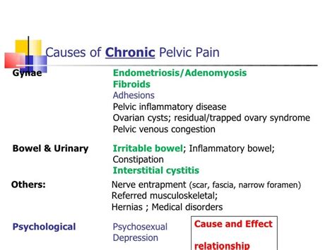 Chronic Pelvic Pain