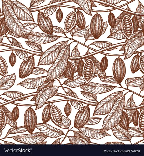 Seamless Pattern With Cocoa Royalty Free Vector Image