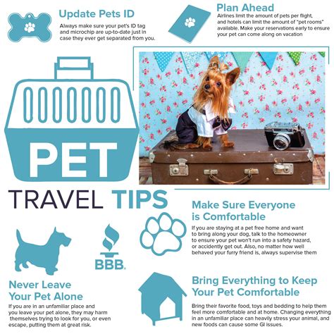 Pet Travel Tips | Pet vacation, Pet travel, Pet id