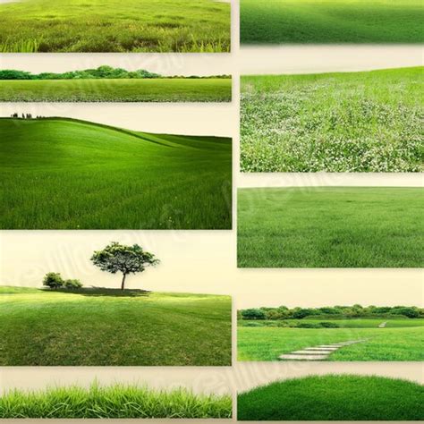 60 Grass Overlays Green Grass Photoshop Textures Summer Etsy
