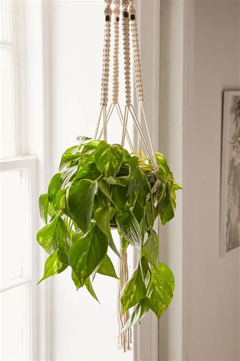 It's inexpensive and a great way to give old pots a fresh look. Iris Macrame Hanging Planter | Urban Outfitters
