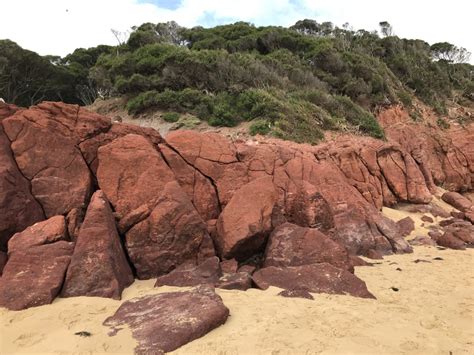 12 Amazing Rock Pools To Visit In Victoria Eco Explorers