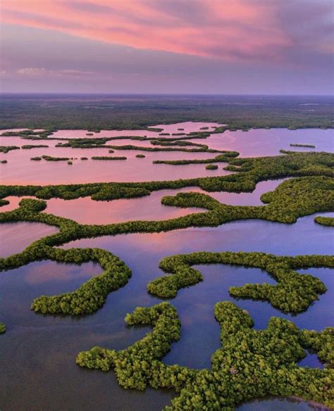 Everglades National Park In Florida National Parks National