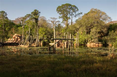 Photos Of The Abandoned Disney River Country Water Park Business Insider