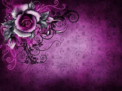 Texture Purple Background Rose Textures Grunge Floral