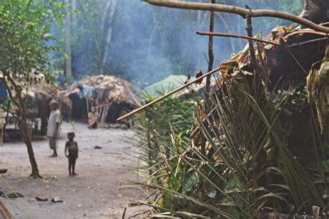 Living With Pygmies In The Congo Secret Compass