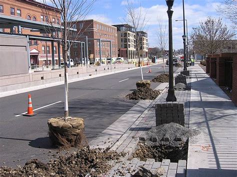 Case Studies For Tree Trenches And Tree Boxes Minnesota Stormwater Manual