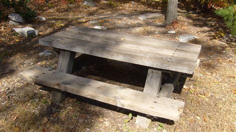 Haunted Picnic Table 29 In Griffith Park Creepy La The Los Angeles