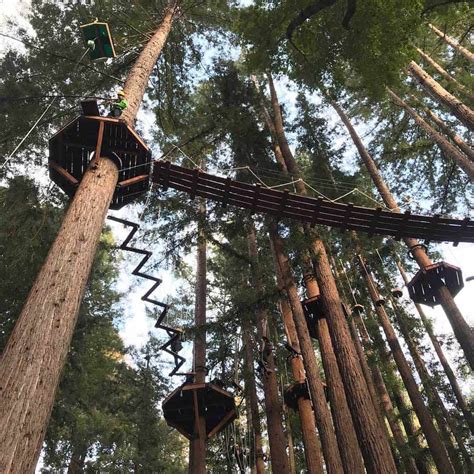Skiers, of course, will head straight for mount hermon in winter, but those summer visitors can enter the site free of charge and take part in free tours led by guides from the nature reserves authority. Mount Hermon Redwood Canopy Tours Reviews | Santa Cruz ...