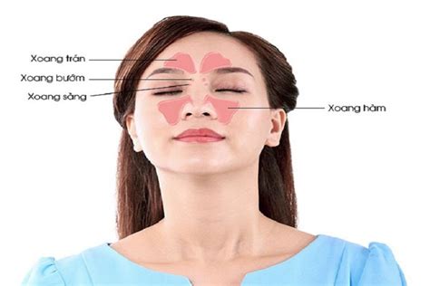 Hướng Dẫn Cách Xoa Bóp Bấm Huyệt Chữa Trị Viêm Xoang Massage Người Mù Hoa Sen