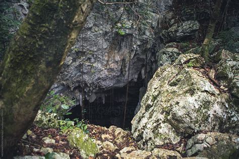 Jungle Cave Entrance By Stocksy Contributor Meghan Pinsonneault