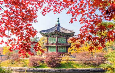Wallpaper Autumn Leaves Colorful Landscape Korea Autumn Leaves