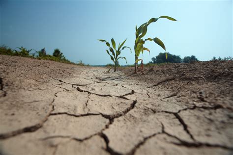 Sc Drought Conditions Worsen Fitsnews