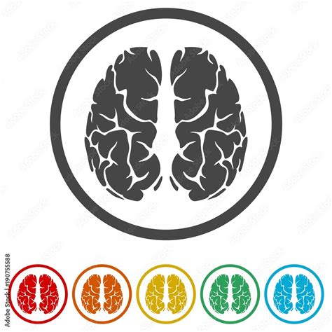 Human Brain Concept Brain Logo Design Vector Template 6 Colors