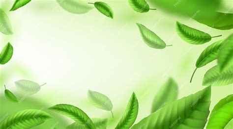 Premium Vector Tea Leaves Background Realistic Green Falling And Whirling Leaves Banner For