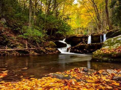 Great Smoky Mountains National Park Tennessee Usa