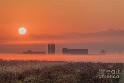Foggy Sunrise On The Farm Photograph By Randy Small Fine Art America