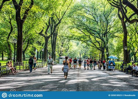 Central Park Is An Urban Park In Manhattan New York City Usa