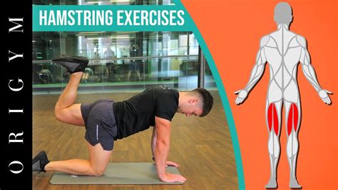 Best Bodyweight Leg Exercises To Build Muscle Eoua Blog