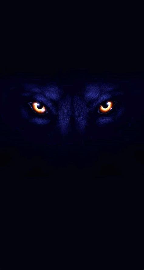 Black Wolf Face Hd Wallpapers Wolf Wallpaperspro Wolf Face Dark