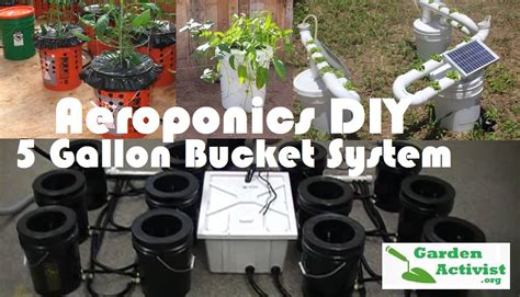 But you can also make your diy aeroponics system. Aeroponics System: The DIY 5 Gallon Bucket | GardenActivist.org