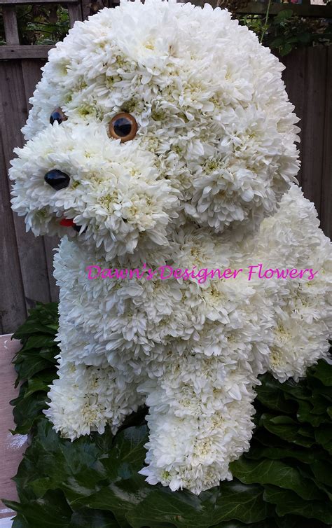 Order online before 3pm for same day flower delivery. Dog /London Florist/Funeral Tribute Flowers (With images ...