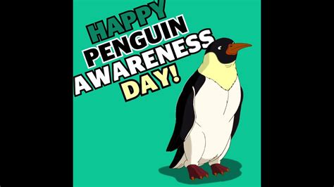 Penguin Awareness Day Nature Youtube
