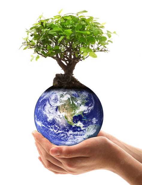 Mão Segurando Um Planeta Terra Com árvore Foto Premium