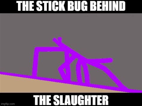 Get Stick Bugged Lol Memes And S Imgflip