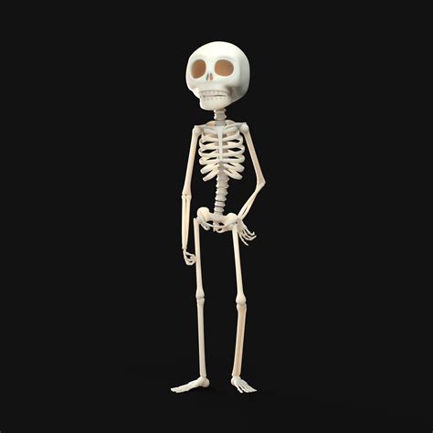 3d Skeleton Model Skeleton Model Cute Skeleton 3d Skeleton