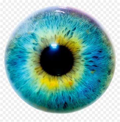Pupil Drawing Blue Eye Iris Color Hd Png Download Vhv
