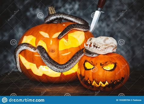 Happy Halloween Snakes With Pumpkins On A Table Stock Photo Image