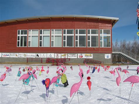 Free Images Nature Snow Winter Structure Sky Building Stadium