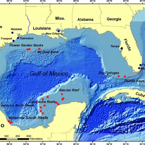 9 Locations Of Coral Reefs Of The Gulf Of Mexico Download Scientific