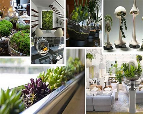 Indoor Plants To Make Your House Fresher