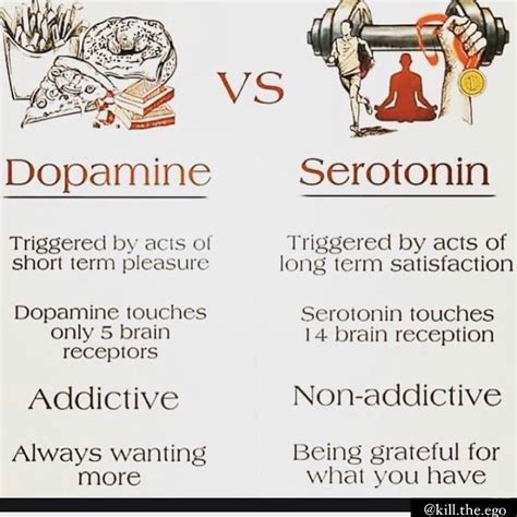 Killtheego 🙏🏼 On Instagram “dopamine Vs Serotonin ”happiness