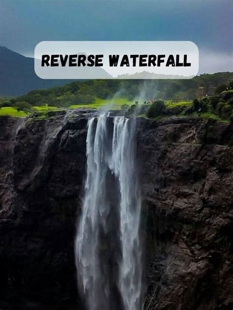 Reverse Waterfall Lonavala Traxolife