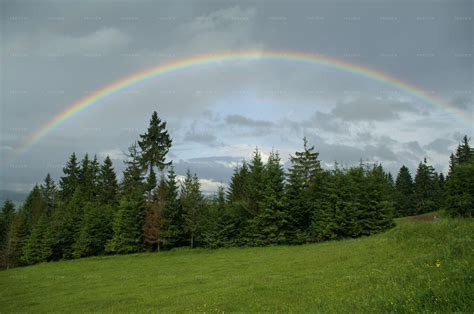 Rainbow Over The Forest Stock Photos Motion Array