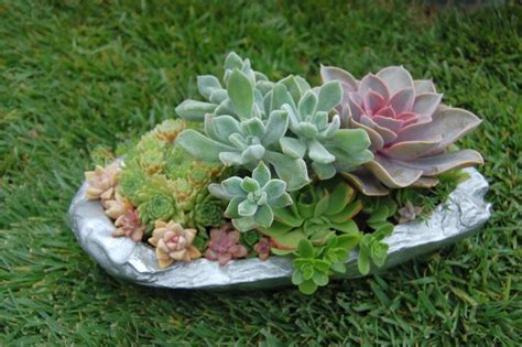 Their size can be as small as a rocky trough or cover an entire front yard, but all must be sloped or mounded for increased drainage. 18 Simple Small Rock Garden Designs