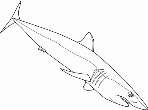 Make a coloring book with mako shark pdf for one click. Reef Shark coloring page - Animals Town - Free Reef Shark ...