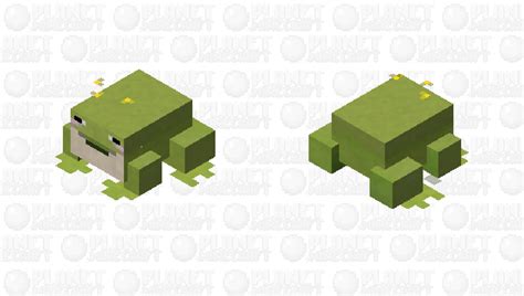 Cute Frog Minecraft Mob Skin