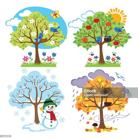 Four Seasons Trees Clipart With Spring Summer Fall And Winter Trees