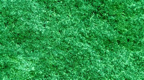 Green Texture Background Free Stock Photo Public Domain Pictures