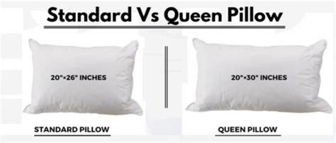 Standard Pillow And Pillowcase Size Chart Guide Updated January 2024