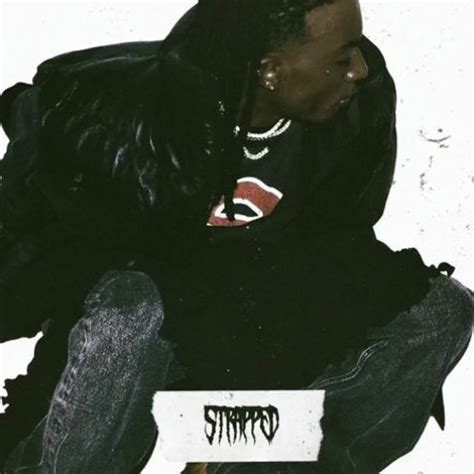 Stream Playboi Carti 24 Songs By Stupid Kid Listen Online For Free