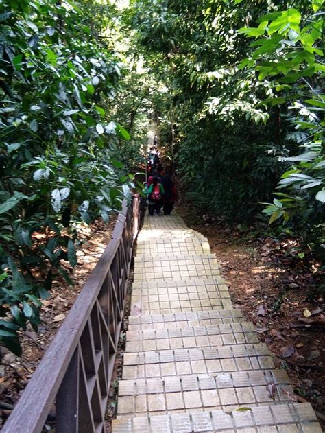 Hutan simpan bukit relau is situated east of kampung titi serong, close to sungai kepala panchur. Sekolah Kebangsaan Taman Putra Perdana: Laporan Lawatan ...