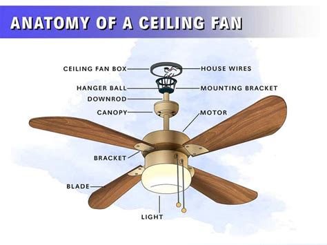 Internal Wiring Diagram Of Ceiling Fan Wiring Diagram