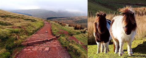 In wales ist die natur die hauptattraktion. Wales Sehenswürdigkeiten - Burgen, Städte, Nationalparks ...